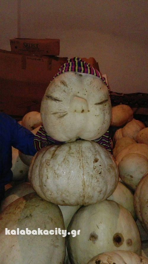 vaios 14807946 10207937322487309 264922976 o