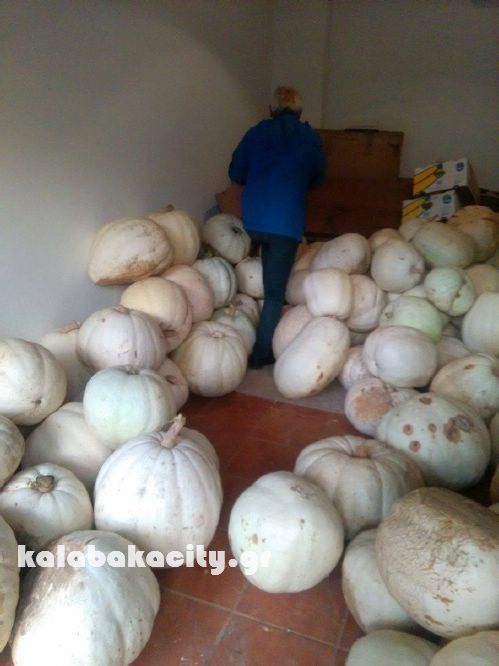 vaios 14808092 10207937338247703 1143696326 o