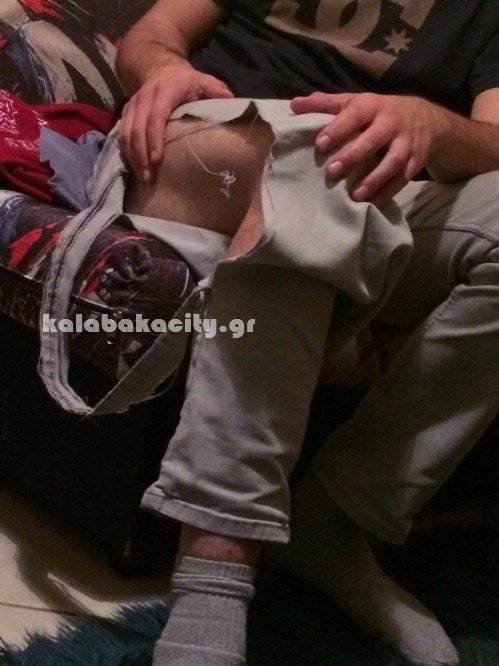 dog ep 15233607 10209944407780886 142208629 o