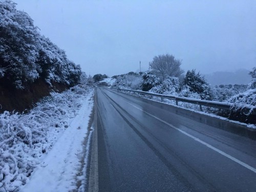 xioni 15224740 1249103958466584 1476331822 o