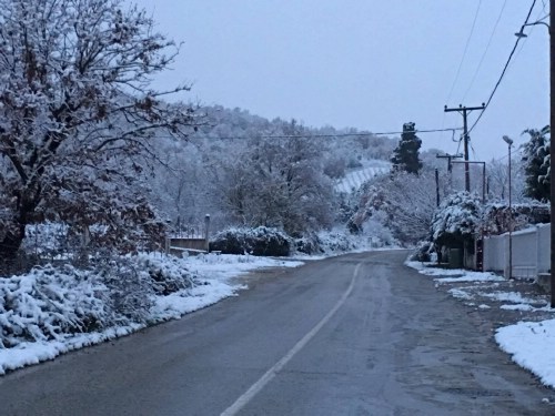 xioni 15231614 1249103401799973 1041371579 o