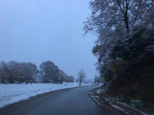 xioni 15231680 1249103318466648 1785005877 o