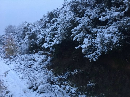 xioni 15292890 1249103001800013 686900454 o