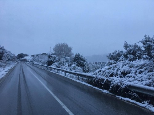 xioni 15303766 1249103788466601 1164705721 o