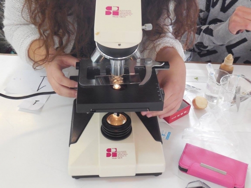 15419794 829397870535869 7942281060852450261 o