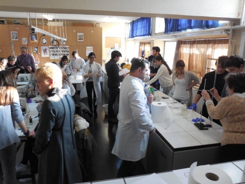 15493672 829396997202623 5508406297066528362 o