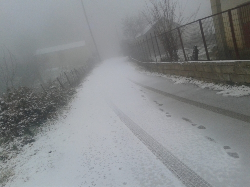 15682006 363330740710320 51468361 o