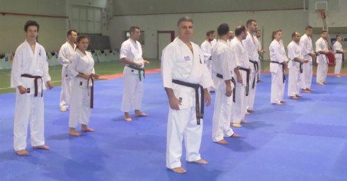 karate 15293220 368474896834296 699376483 o