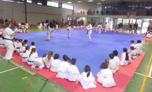 karate 15293448 368473236834462 243362863 o