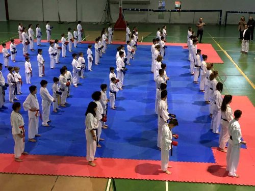 karate 15300483 368474163501036 977553473 n