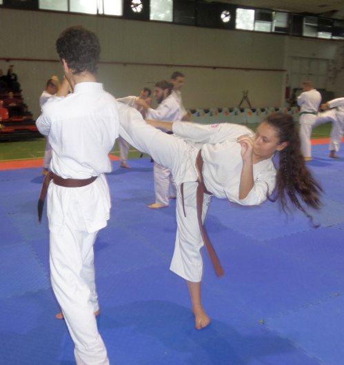 karate 15302438 368474903500962 1200672575 o