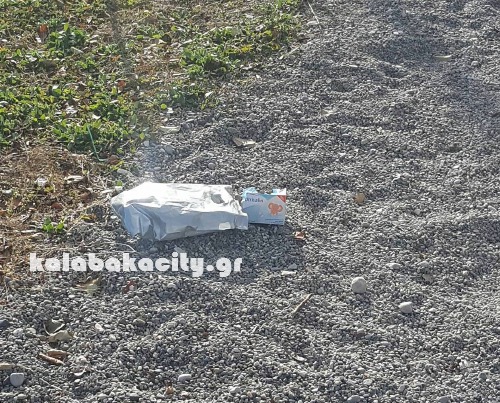 paidiki xara meteoron15725798 213239922416997 131475384 o