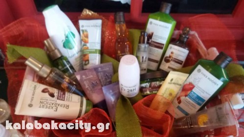 yves 15658153 212161519191504 744930895 o