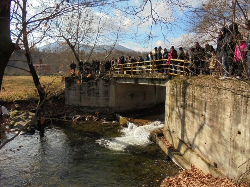 15895405 1202214316482405 5902628504204298479 n