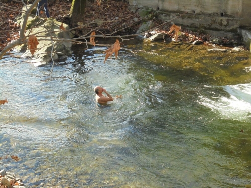 15941017 1202214566482380 816860030142258851 n