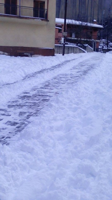 15977483 1240500839331137 1066330730834014158 n