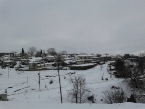 16105580 594109470788283 8089856221244487353 n