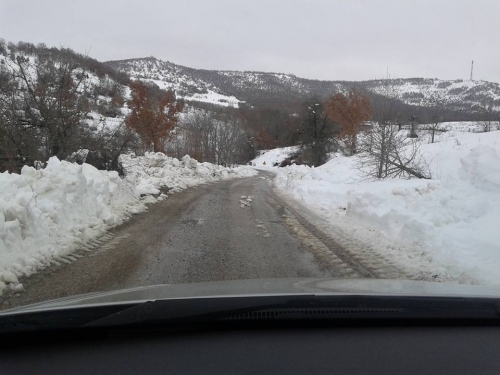 16114842 594109437454953 2440980990143335256 n