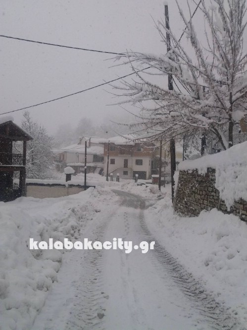 16121829 229072874168547 774524459 o