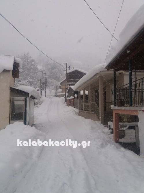 16122030 229072970835204 1526843532 o