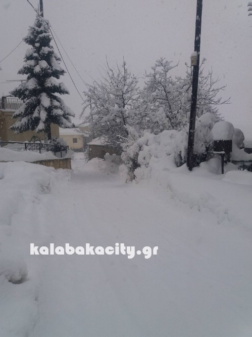 16122083 229072927501875 972567669 o