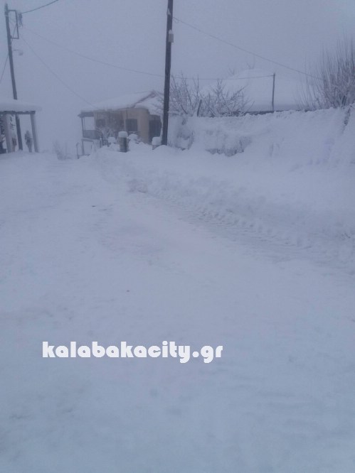 16122253 228279407581227 160175984 o