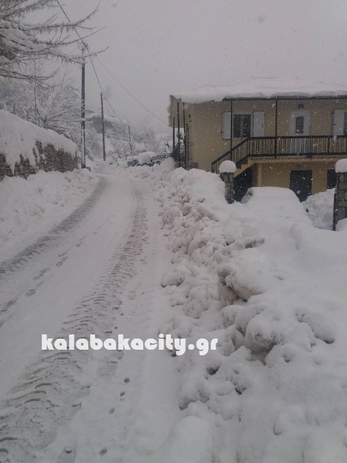 16129386 229072914168543 1563079290 o