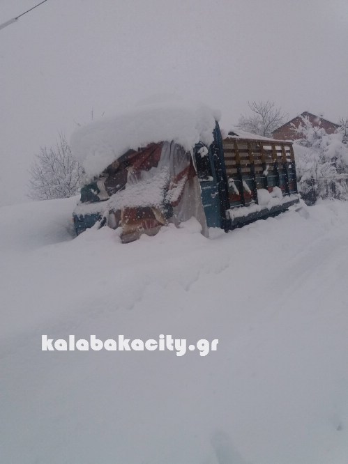 16129440 229073030835198 1828917741 o