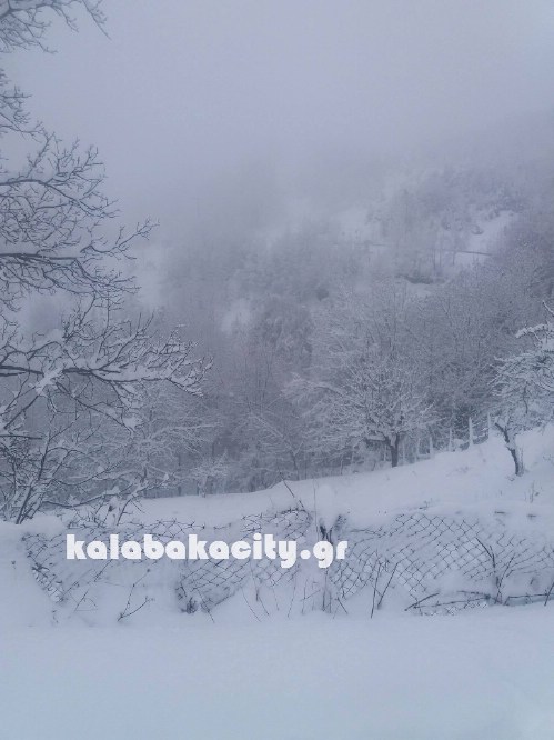 16129575 228279340914567 1056190141 o