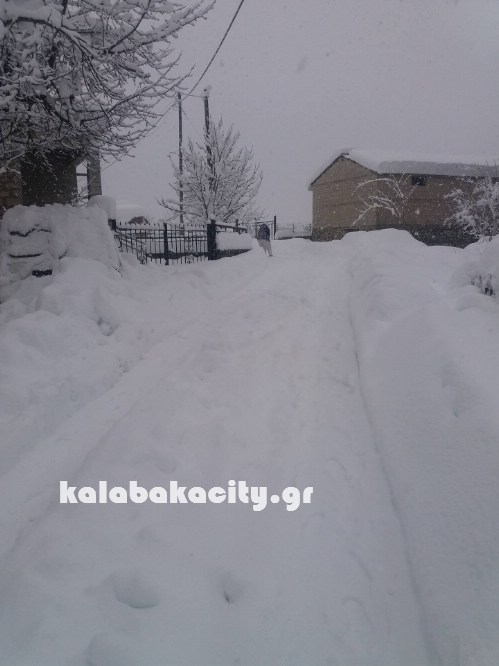 16129778 229072677501900 1021532475 o