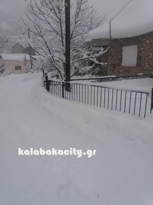 16129860 229073007501867 2054815443 o