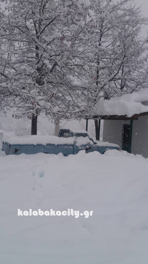 16129933 229072454168589 248060489 o