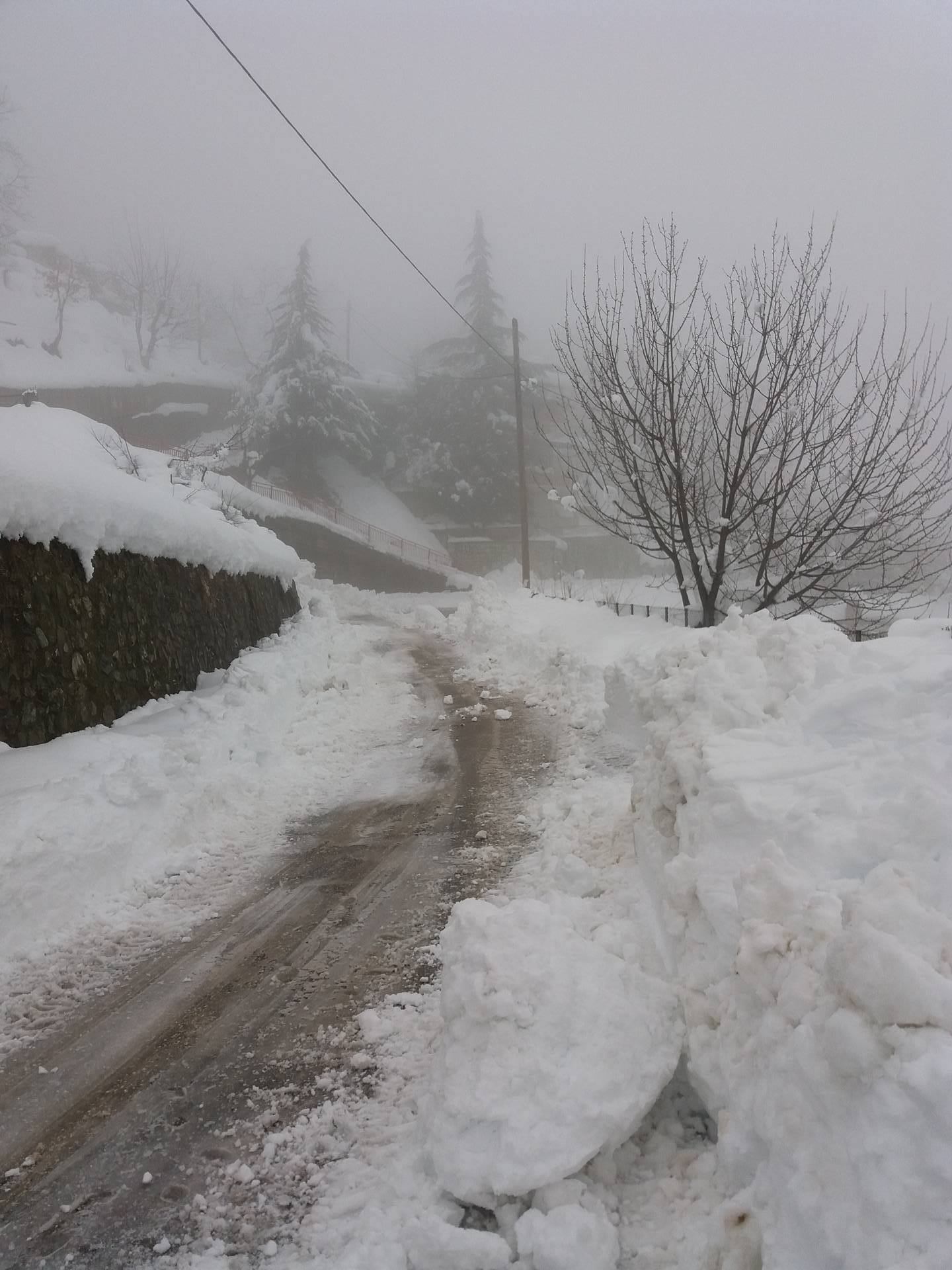 16129953 343868369345333 650189466 o