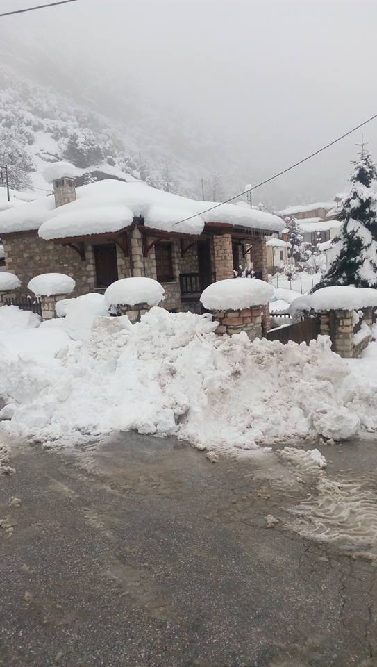 16142868 10206139671210224 2767831546408941906 n