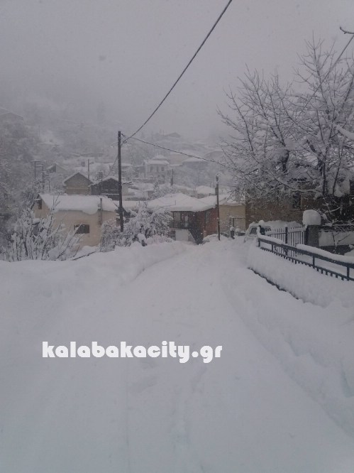 16144917 229072997501868 659982870 o