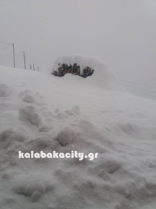 16144944 229062470836254 728721973 o