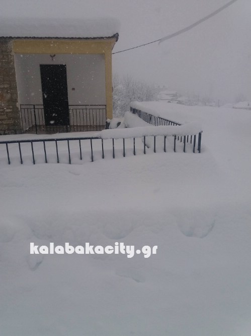 16145169 229073020835199 686965920 o