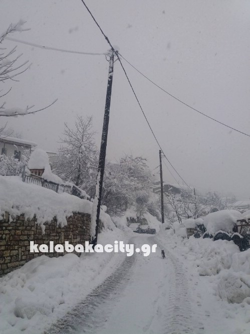 16145249 229072877501880 1494934612 o