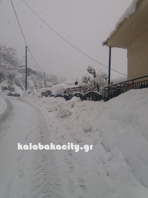 16145445 229072900835211 568113417 o