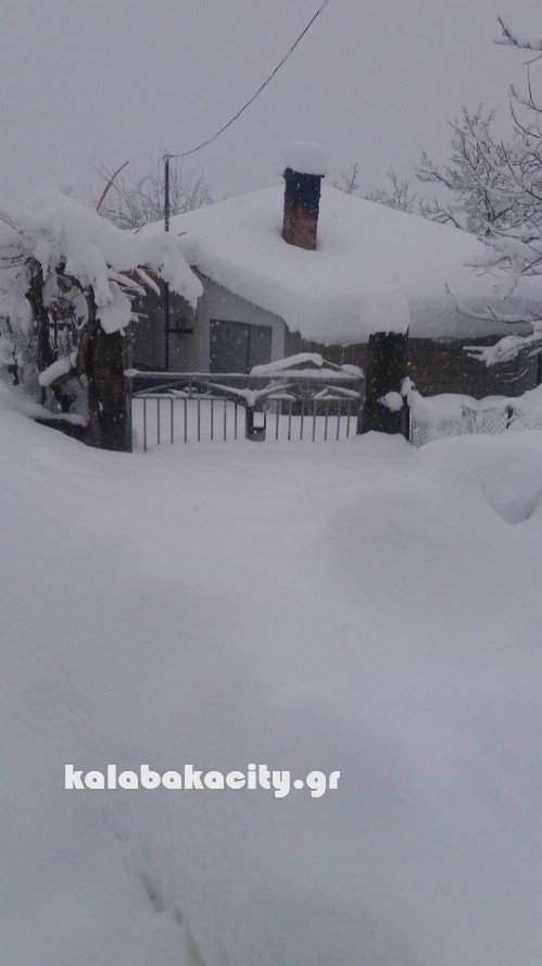 16145604 229072500835251 1489969118 o