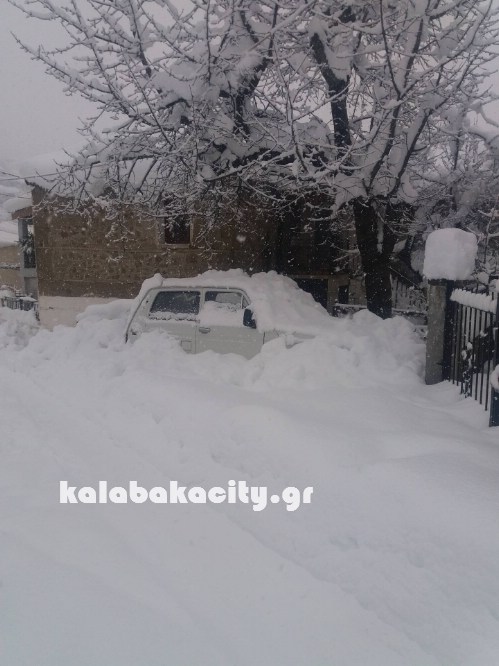 16145675 229072987501869 63719138 o