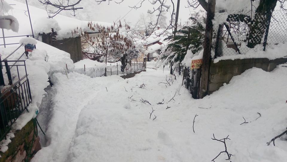 16174743 10206139672770263 3455350615650217658 n