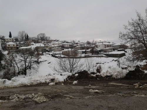 16194985 594109350788295 4490418521295770160 n