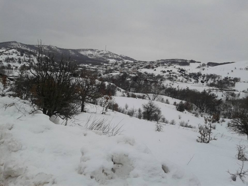 16194990 594109447454952 8293676748170878279 n