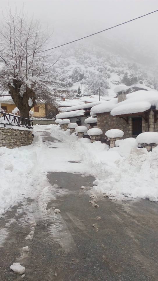 16195059 10206139671490231 2966907015904618711 n