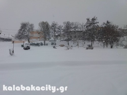 agiofyllo 15992183 1081672245295229 1978333648 o