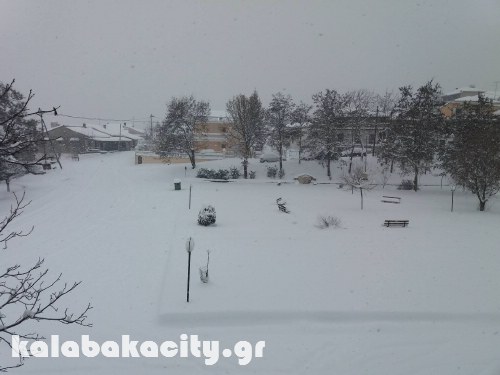 agiofyllo 16009782 1081671318628655 426349136 o