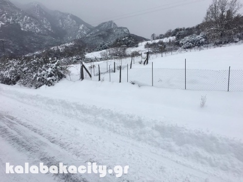 diava 15943165 1288560987854214 113520867 o