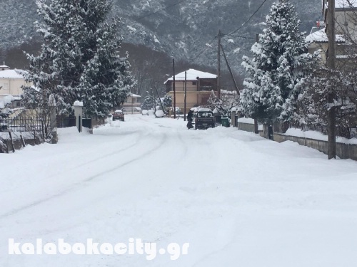 diava 15966380 1288541137856199 1389115026 o