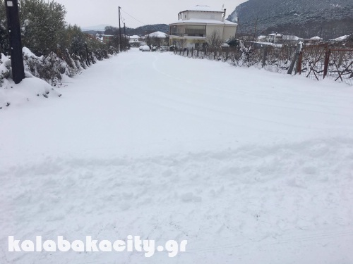 diava 15966719 1288560891187557 246520699 o